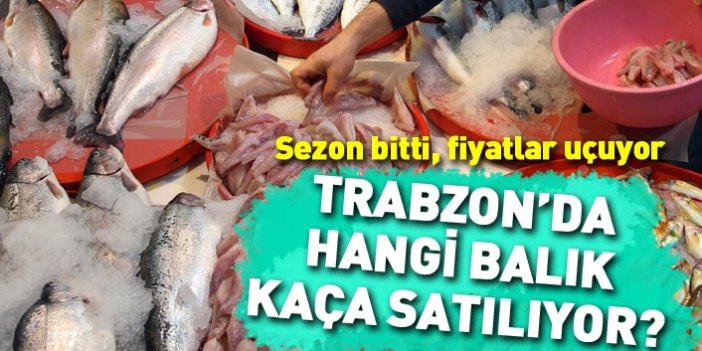 Trabzon'da balık fiyatları rekor kırıyor! Hangi balık kaça satılıyor?