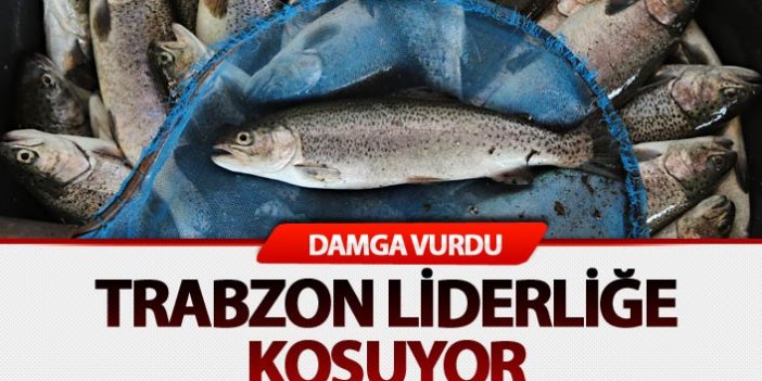 Su ürünleri ihracatına "Trabzon" damgası