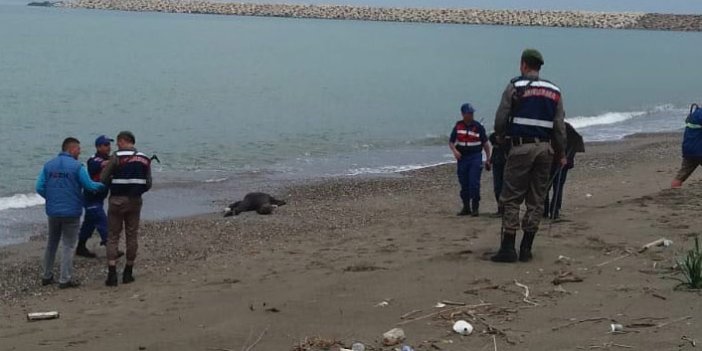 Kayıp yaşlı adamın cesedi 51 gün sonra denizden çıktı 