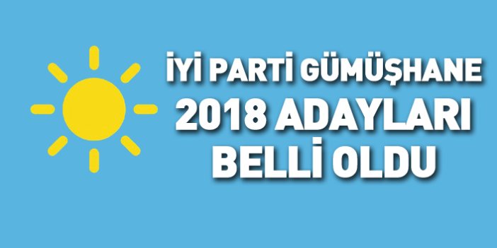 İYİ Parti Gümüşhane 24 Haziran 2018 milletvekili adayları listesi... İşte adaylar