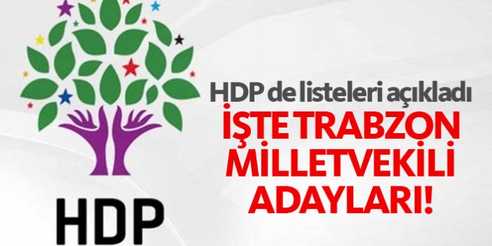 HDP Trabzon 24 Haziran 2018 milletvekili adayları listesi...