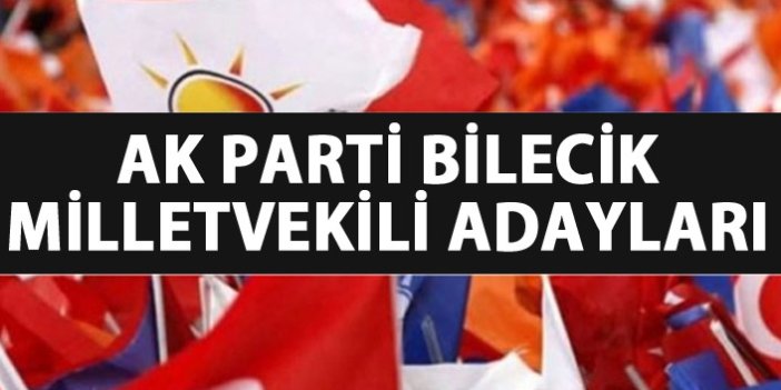 Bilecik AK Parti milletvekili adayları listesi...