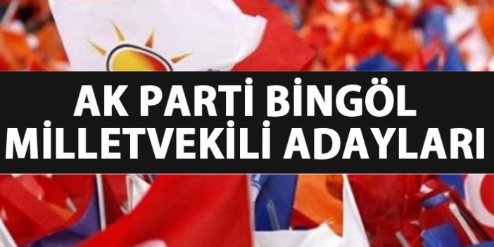 Bingöl AK Parti milletvekili adayları listesi...