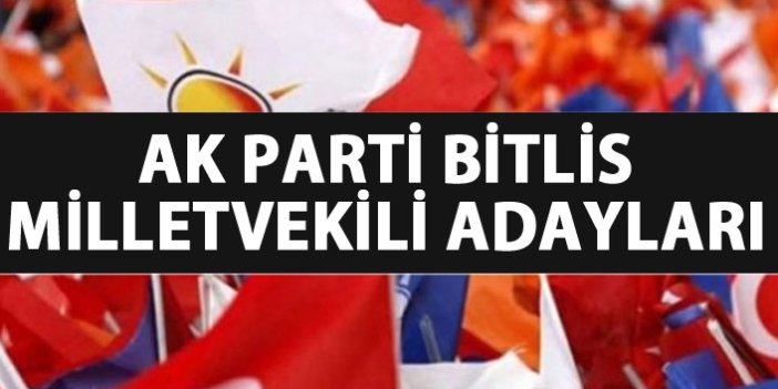 AK Parti Bitlis milletvekili adayları listesi kimlerden oluştu?