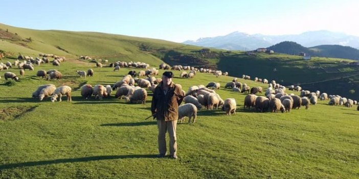 Ramazan’ı yaylada koyunları ile geçiriyorlar 