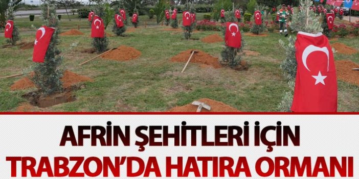 Afrin Şehitleri için Trabzon’da hatıra ormanı