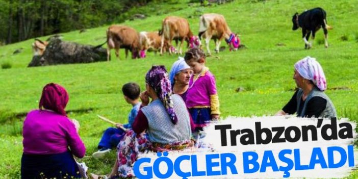 Trabzon'da yayla göçleri başladı