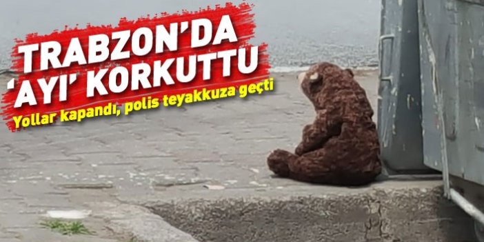 Trabzon'da oyuncak ayı paniği!