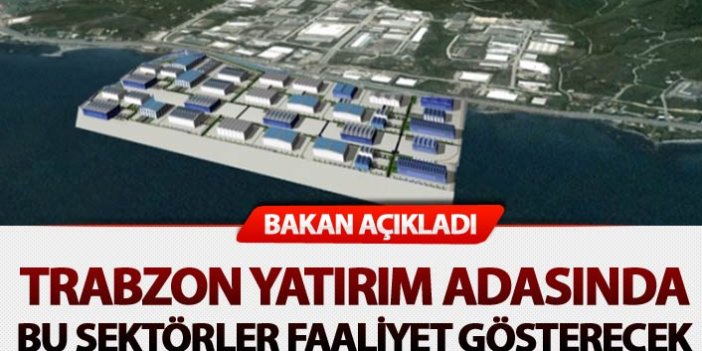 Bakan Açıkladı - Trabzon Yatırım Adasında bu sektörler faaliyet gösterecek