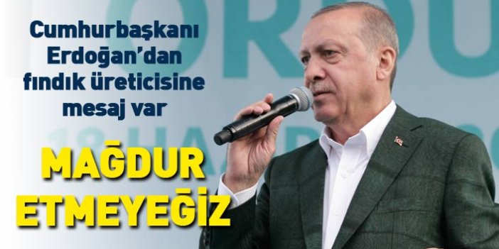 Cumhurbaşkanı Erdoğan'dan fındık üreticilerine mesaj
