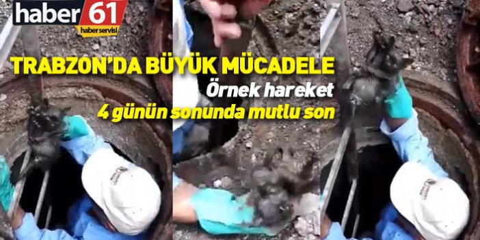 Trabzon'da rögara düşen yavru kedi 4 gün sonra kurtarıldı