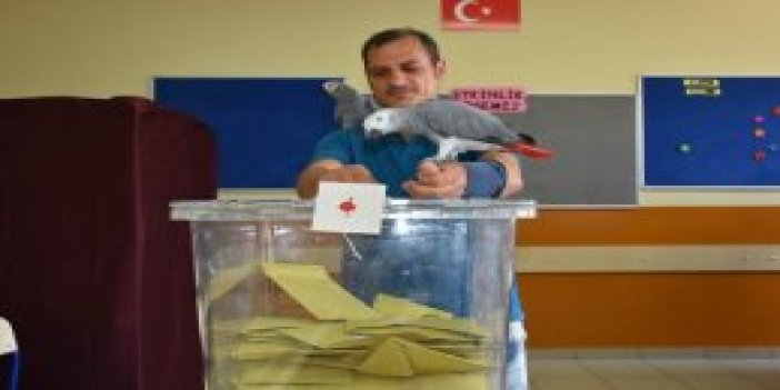 Trabzon'da sandık başına papağanlarıyla gitti