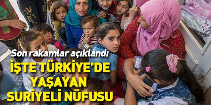 Son rakamlar açıklandı... İşte Türkiye'de yaşayan Suriyeli sayısı