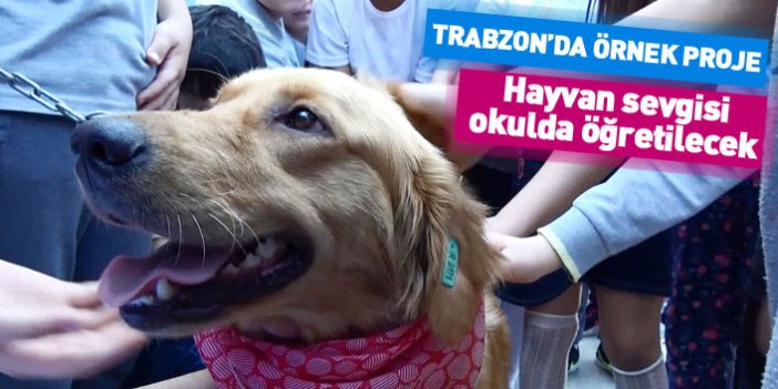 Trabzon'da örnek proje... Hayvan sevgisi okullarda öğretilecek