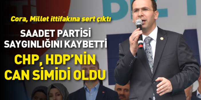 AK Partili Cora: CHP, HDP'nin can simidi oldu