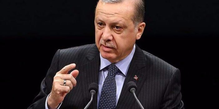 Erdoğan'ın KKTC ziyareti, Rumları rahatsız etti