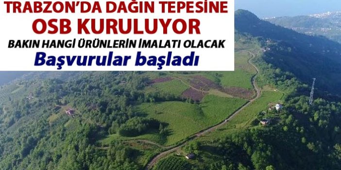 Trabzon'da dağın tepesinde kurulacak OSB'yi tanıttılar