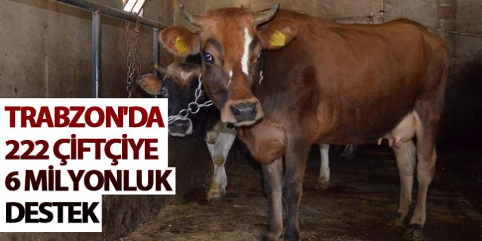 Trabzon'da 222 çiftçiye 6 Milyonluk destek