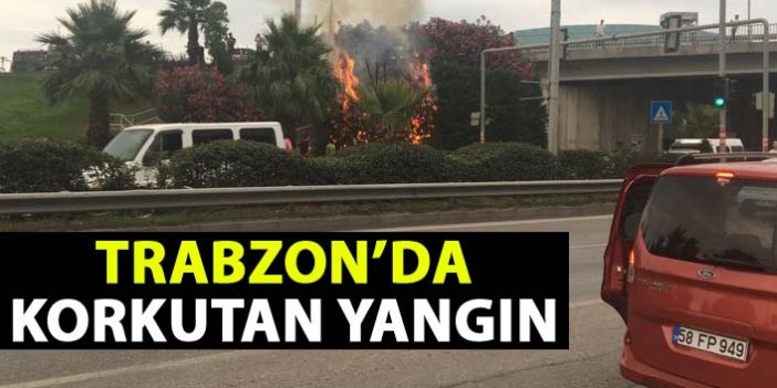 Trabzon'da korkuta yangın