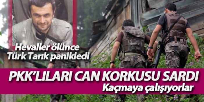 PKK'nın sözde Karadeniz Açılım Grubu'na büyük darbe