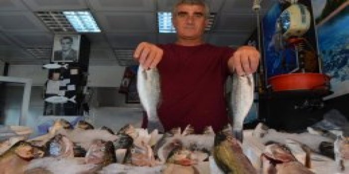 Trabzon'da balıkçılar yeni sezondan umutlu