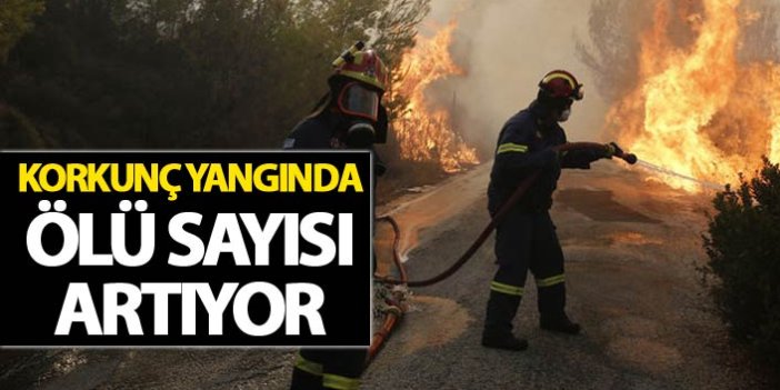 Yunanistan'da büyük yangın: 60 ölü