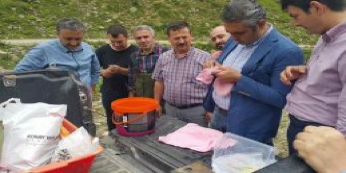 Trabzon'da dereye bırakılan balıklar incelendi