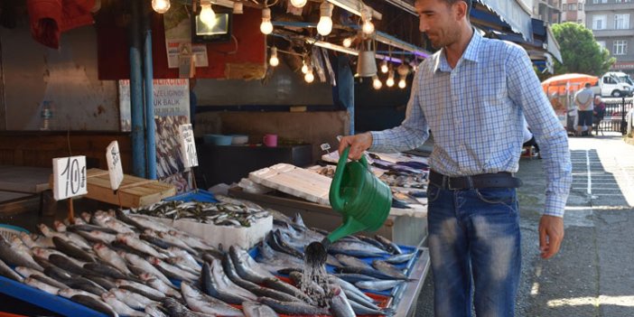 Trabzon'da balıkçıların gözü 1 Eylül'de