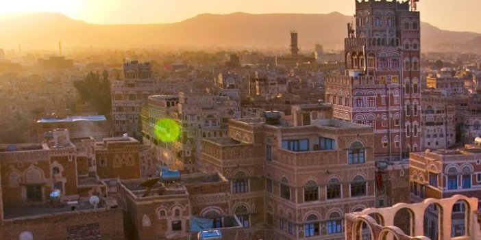 Yemen'de dang hummasına karşı acil önlem planı