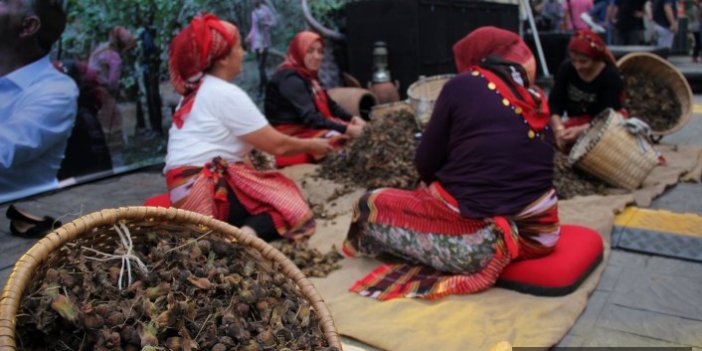 Giresun'da fındık festivali düzenlendi