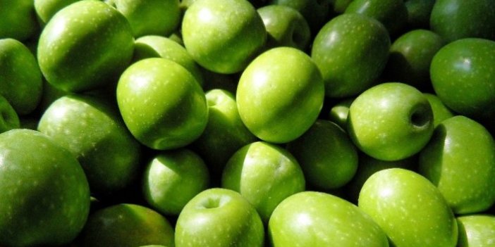 Zeytin ve zeytinyağı ihracatında rekor kırıldı