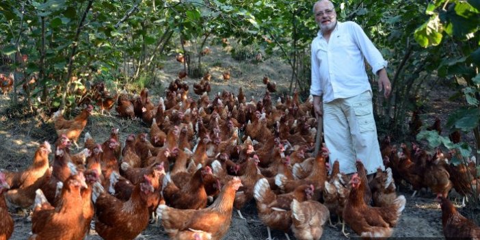 Yıllar önce 60 tavukla başladı tüm köye örnek oldu