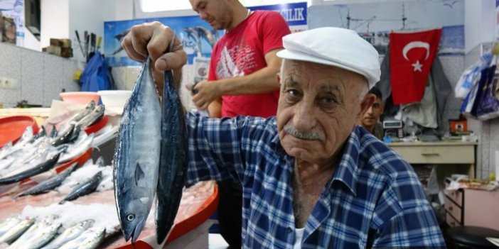 Trabzonlu bu sene balığa doyacak