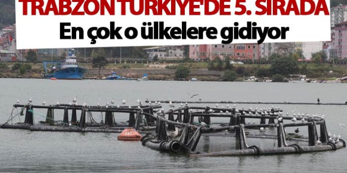 Trabzon Türkiye'de 5. sırada - En çok o ülkelere gidiyor