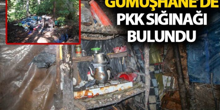 Gümüşhane'de PKK sığınağı bulundu