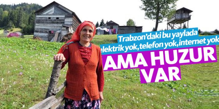 Trabzon'da elektrik bile olmayan yaylada doğal yaşam