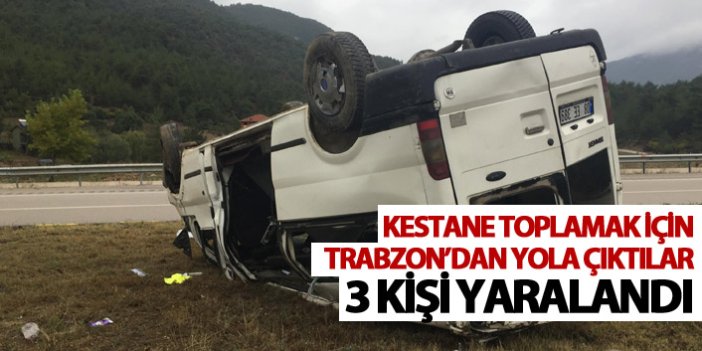 Trabzon'dan Zonguldak'a giderken kaza yaptı - 3 yaralı