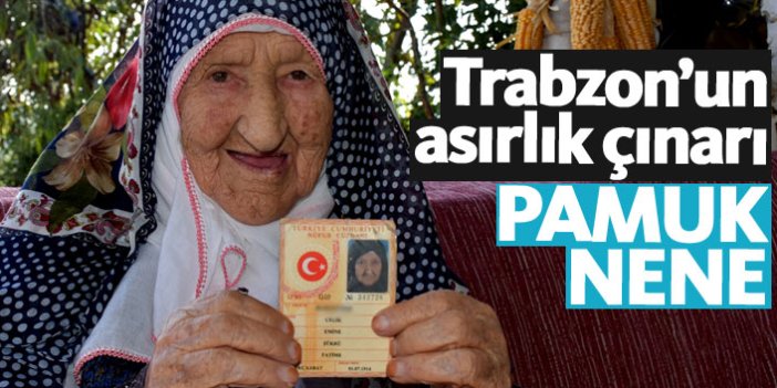 Trabzon'un "Pamuk Nene"si torununun torununu gördü