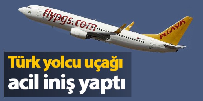Türk Yolcu uçağı acil iniş yaptı
