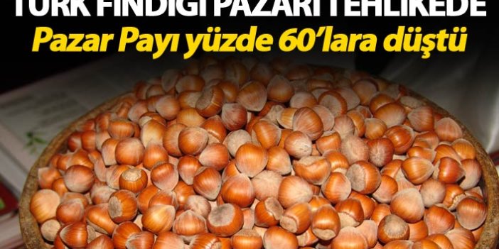 Türk Fındığı pazarı tehlikede