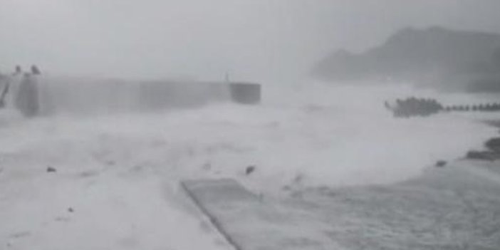 Japonya'da tayfun paniği
