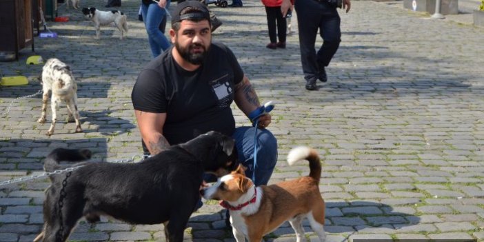 Trabzon'da Hayvanları koruma günü etkinliği