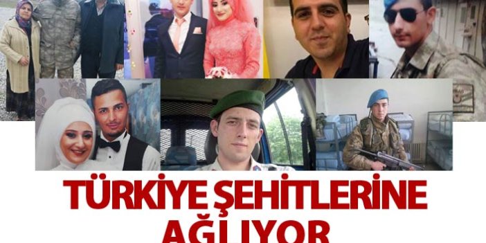Türkiye 7 şehidine ağlıyor