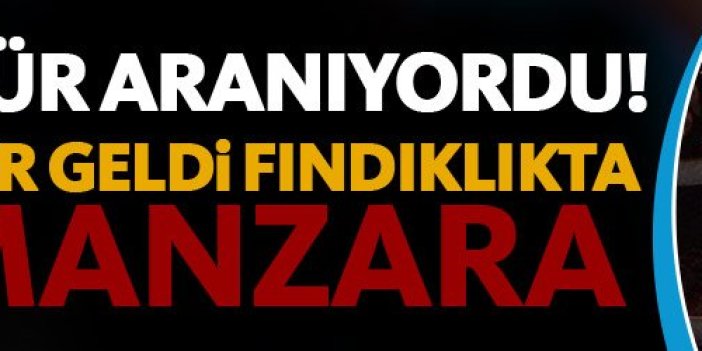 Trabzon'da 3 gündür kayıp genç ölü bulundu