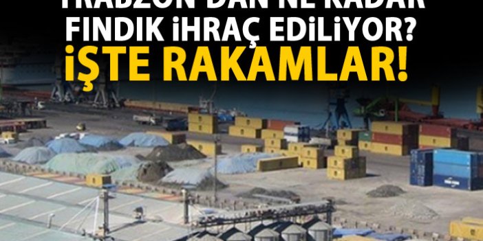 Fındık ihracatının yüzde 38'i Trabzon'dan