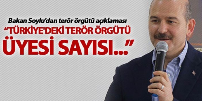 Bakan Soylu: "Türkiye'deki terör örgütü üyesi sayısı 750'ye düştü"
