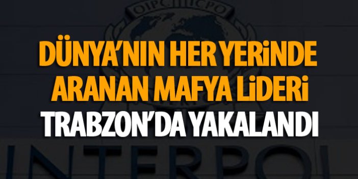 Dünyanın her yerinde aranan mafya lideri Trabzon'da yakalandı