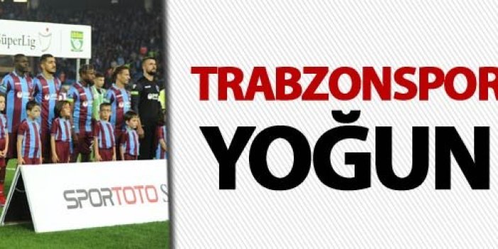 Trabzonspor'u bekleyen yoğun mesai