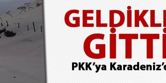 PKK'ya Karadeniz'de büyük darbe