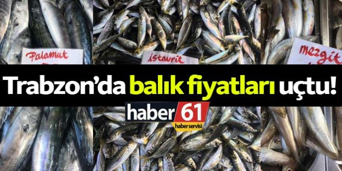 Trabzon'da balık fiyatları fındığı solladı